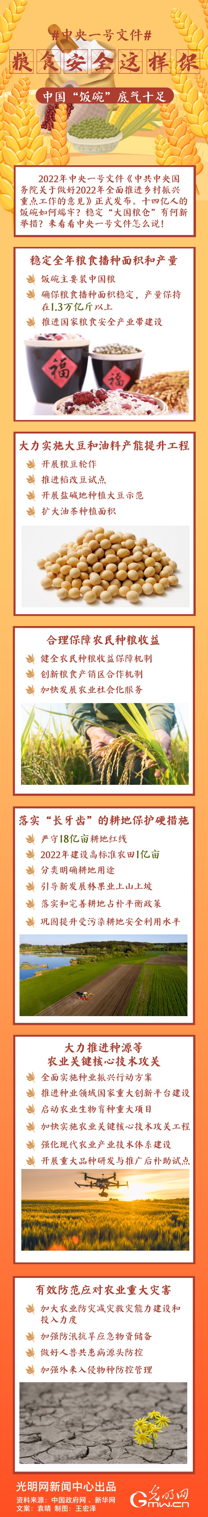 中央一號(hào)文件｜糧食安全這樣保，中國(guó)“飯碗”底氣十足