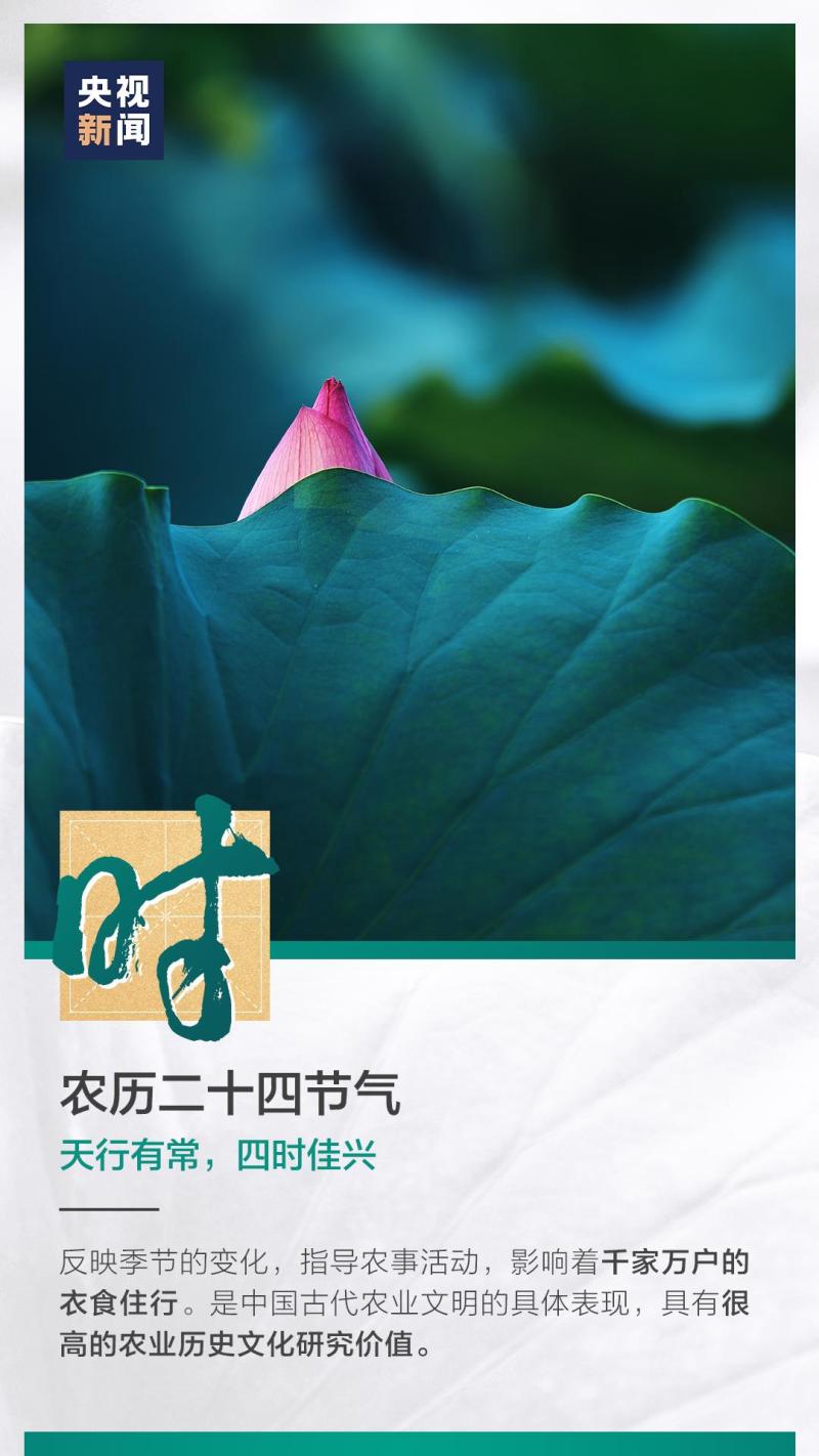 這也太浪漫了吧！