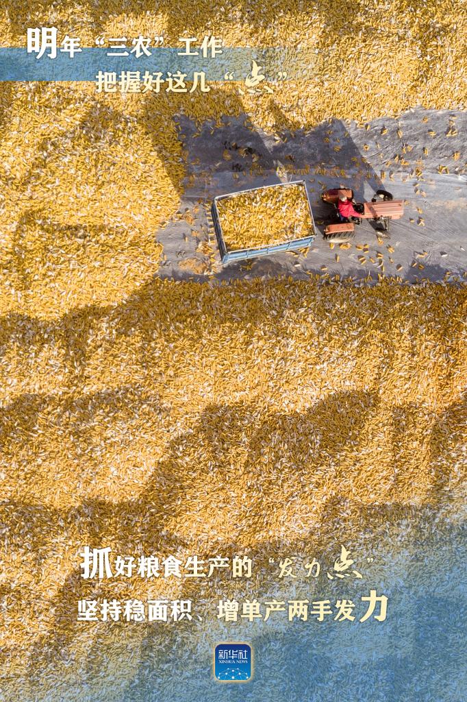 明年“三農(nóng)”工作，這幾個“點”要把握好