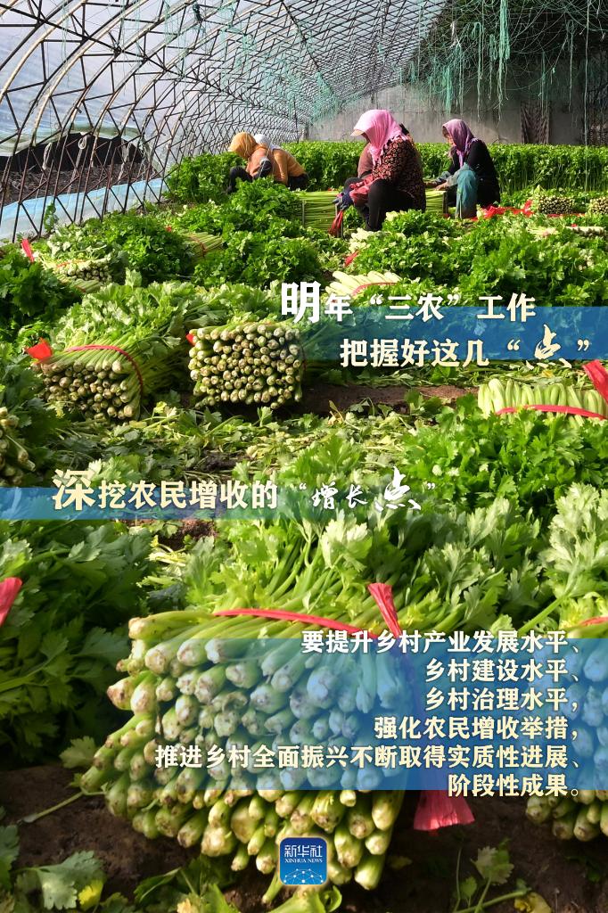 明年“三農(nóng)”工作，這幾個“點”要把握好