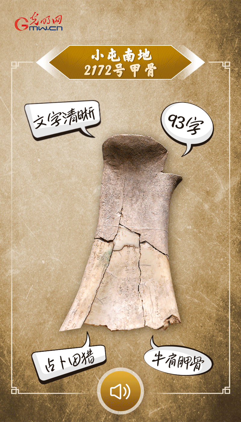 文物會(huì)說話 | 殷墟博物館新館開館啦，帶你奔赴“千年之約”
