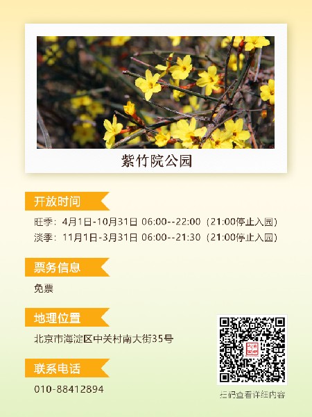 追花指南第二期！京城三月里最撩人的玉蘭觀賞地