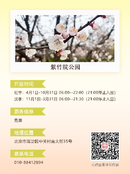 追花指南第六期！杏花雨 楊柳風(fēng) 北京最美的杏花在這里