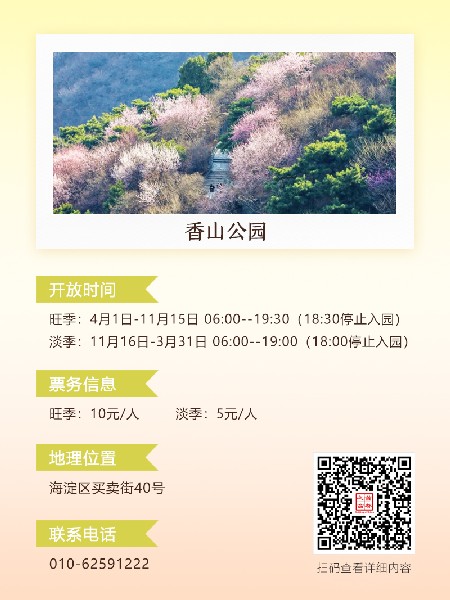 追花指南第六期！杏花雨 楊柳風(fēng) 北京最美的杏花在這里