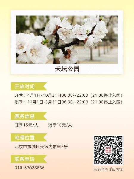 追花指南第六期！杏花雨 楊柳風(fēng) 北京最美的杏花在這里