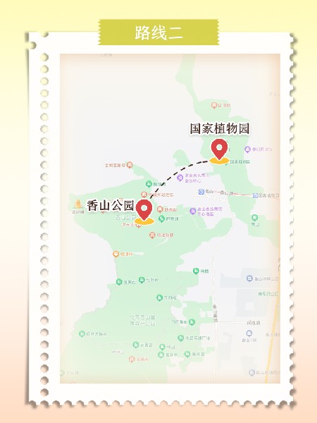 追花指南第六期！杏花雨 楊柳風(fēng) 北京最美的杏花在這里