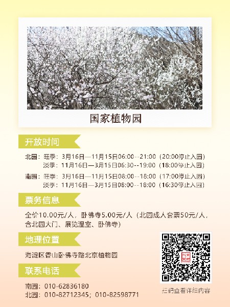 追花指南第六期！杏花雨 楊柳風(fēng) 北京最美的杏花在這里