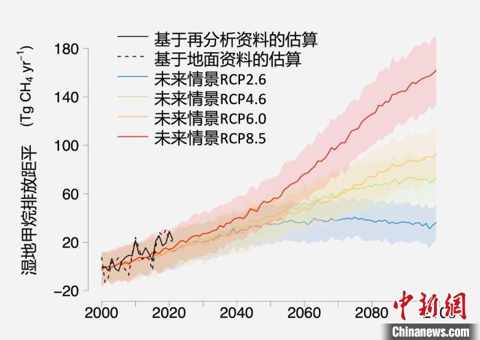 基于觀測(cè)的濕地甲烷排放變化與未來氣候變化情景下估算的對(duì)比?！≈锌圃呵嗖馗咴?供圖