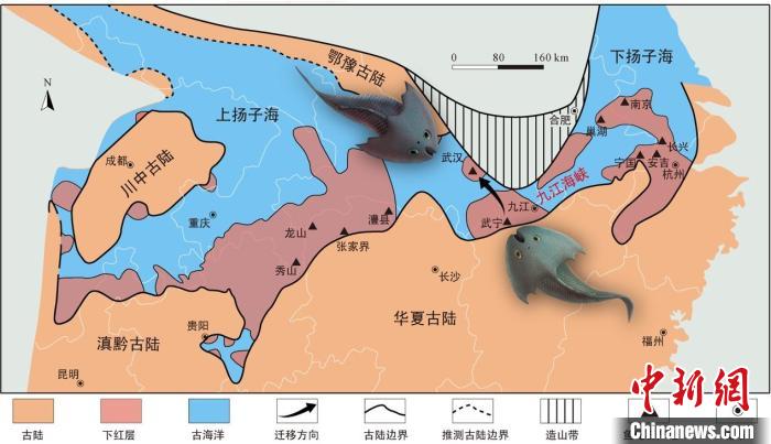 華南地區(qū)志留紀(jì)早期古地理圖和盔甲魚(yú)類化石產(chǎn)地(山顯任改自陳旭、戎嘉余，1996；戎嘉余等，2012) 中科院古脊椎所 供圖