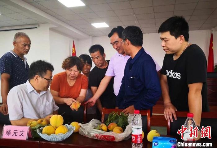 民進浙江省委會為三里橋黃桃種植戶送技術、送指導?！〖紊平y(tǒng)戰(zhàn) 供圖