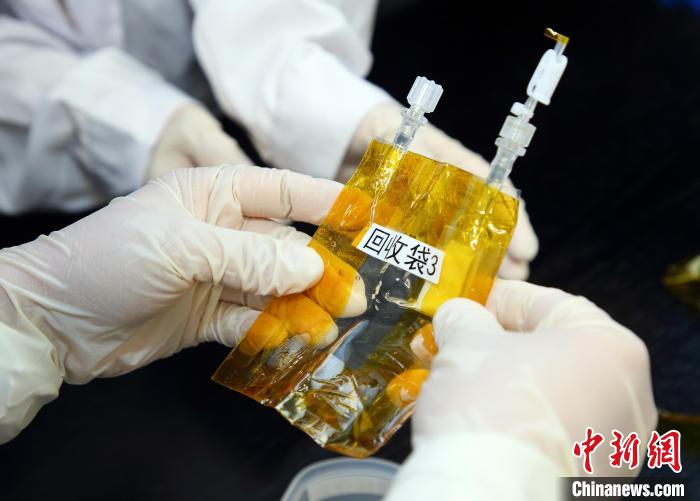 隨神舟十五號返回地面的空間科學(xué)實驗樣品?！≈锌圃嚎臻g應(yīng)用中心 供圖