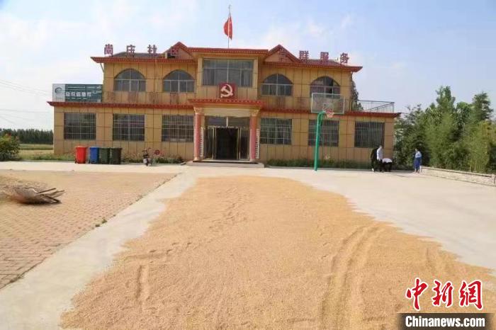 農(nóng)民在邳莊鎮(zhèn)尚莊村黨群服務(wù)中心大院里曬糧?！≠Z萌 攝