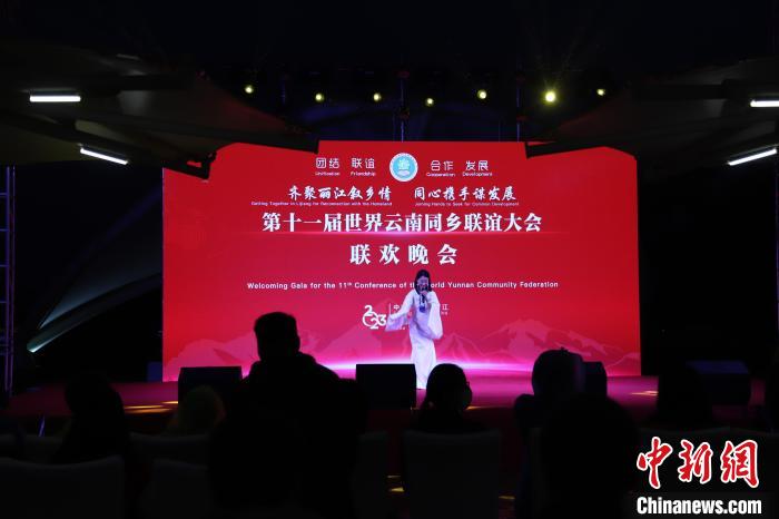 圖為第十一屆世界云南同鄉(xiāng)聯(lián)誼大會(huì)舉辦聯(lián)歡晚會(huì)?！〈抻澜?攝