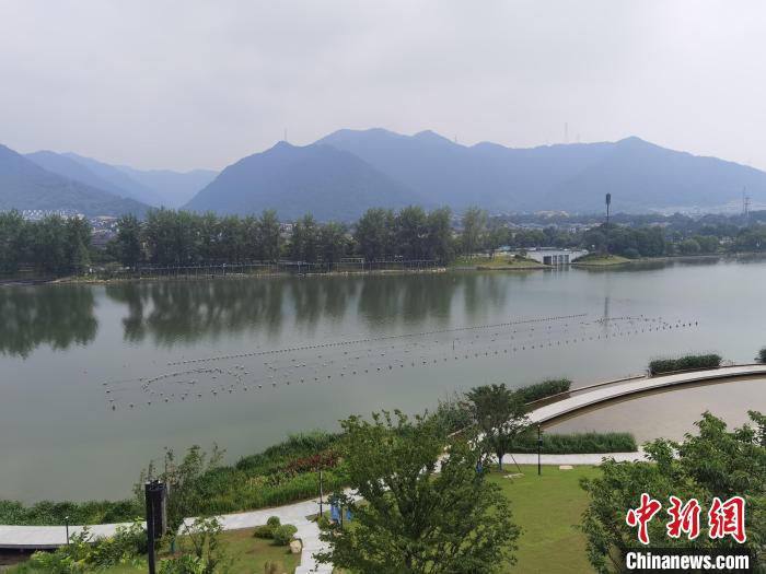 兩岸媒體共探杭州亞運(yùn)會(huì)“綠”在何處？