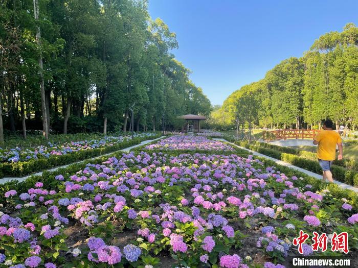 納民意、匯民智上海努力讓“公園城市”建設真正“合民心”