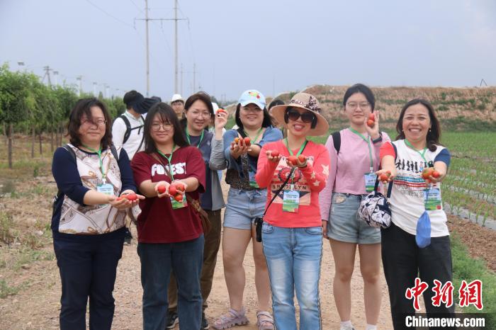 圖為臺(tái)胞體驗(yàn)大美內(nèi)蒙古?！⊥袐I供圖