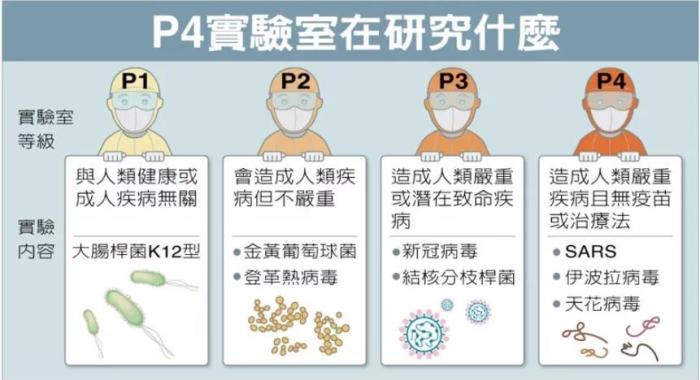 P4實(shí)驗(yàn)室在研究什么。臺灣聯(lián)合新聞網(wǎng)資料圖