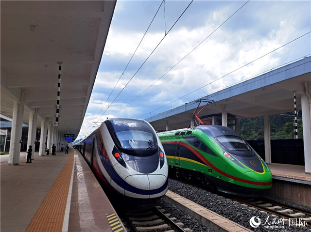 “復(fù)興號”和“瀾滄號”國際旅客列車?？吭诶蠐肽ザ≌?。人民網(wǎng) 杜明明攝