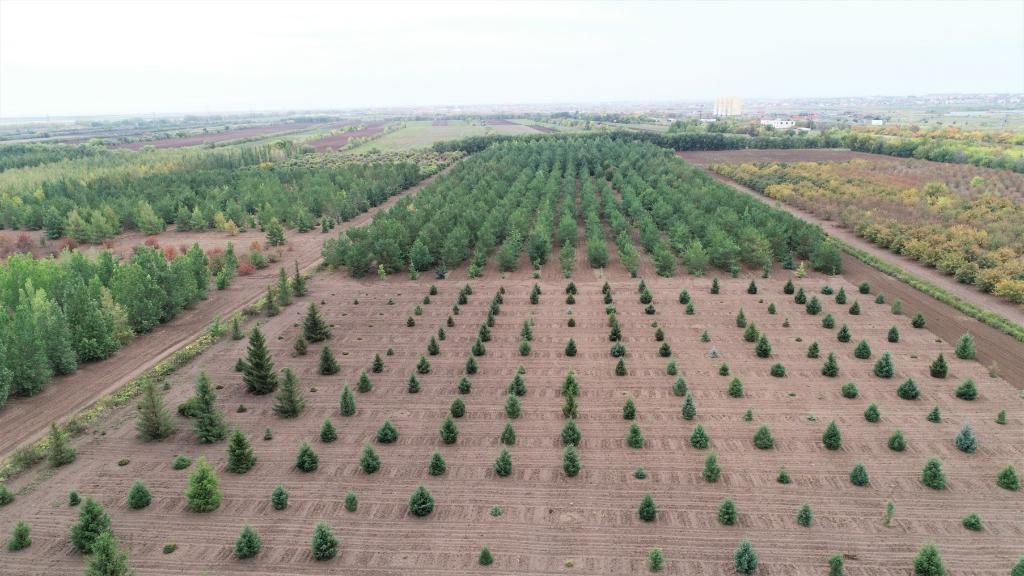 這是2023年9月11日在哈薩克斯坦首都阿斯塔納拍攝的一處植物種質(zhì)資源苗圃（無(wú)人機(jī)照片）。新華社發(fā)（法爾哈特·圖克諾夫 攝）