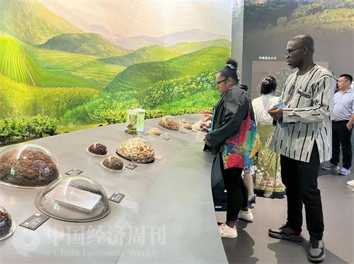   （在中國藥都中醫(yī)藥博物館，外媒記者了解中醫(yī)藥發(fā)展史。中國經(jīng)濟周刊記者 郭志強 攝）