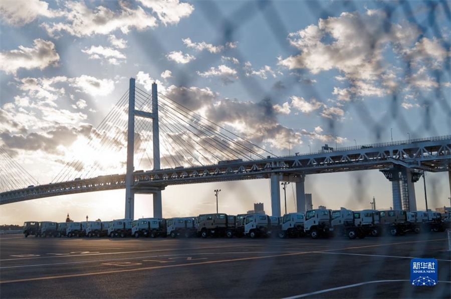 這是11月14日在日本橫濱拍攝的進(jìn)出口汽車集散場地。新華社記者 張笑宇 攝