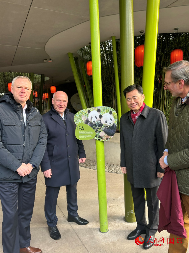 中國(guó)駐德國(guó)大使吳懇（右二）、柏林市長(zhǎng)韋格納（左二）、動(dòng)物園園長(zhǎng)克尼里姆（右一）和監(jiān)事會(huì)主席布魯克曼（左一）共同為“夢(mèng)想”“夢(mèng)圓”大熊貓紀(jì)念牌揭幕。人民網(wǎng)記者 徐馨攝