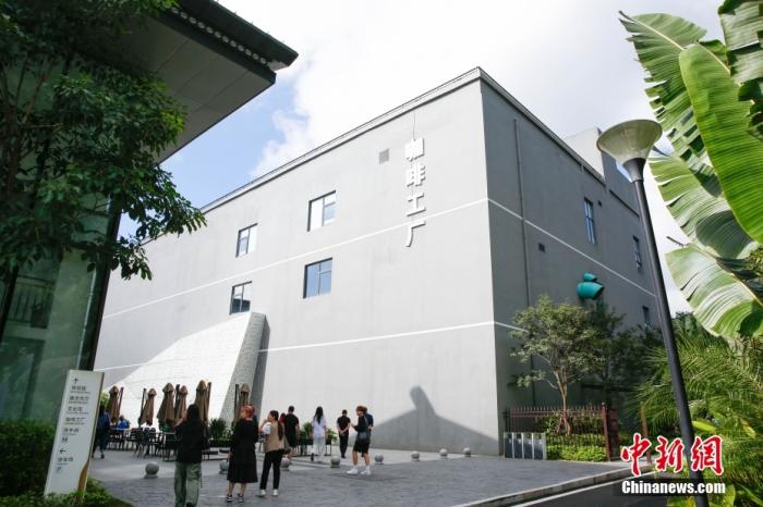 圖為采訪團(tuán)一行參觀咖啡工廠。 曹淼欣 攝