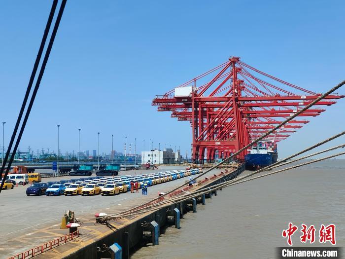資料圖：國(guó)產(chǎn)新能源車在上海外高橋港區(qū)海通碼頭“整裝待發(fā)”?！∑址?攝
