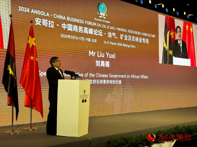 中國政府非洲事務(wù)特別代表劉禹錫。人民網(wǎng)記者 張榮攝