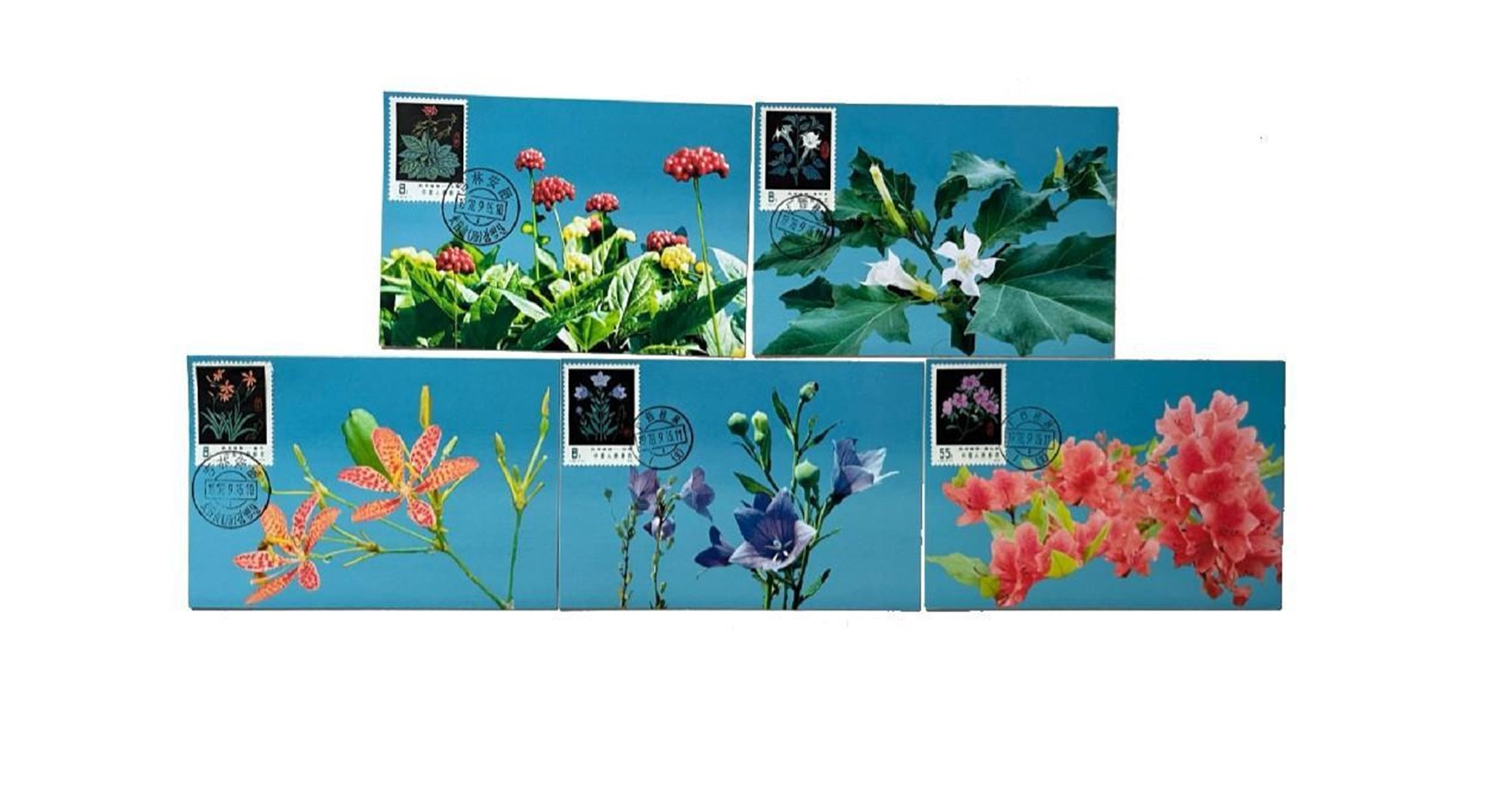 首套藥用植物極限片。第七屆阿聯(lián)酋集郵展主辦方供圖