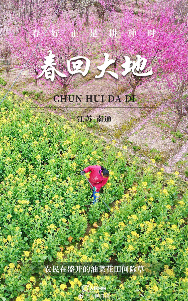 生機盎然！用課本封面打開春耕畫卷