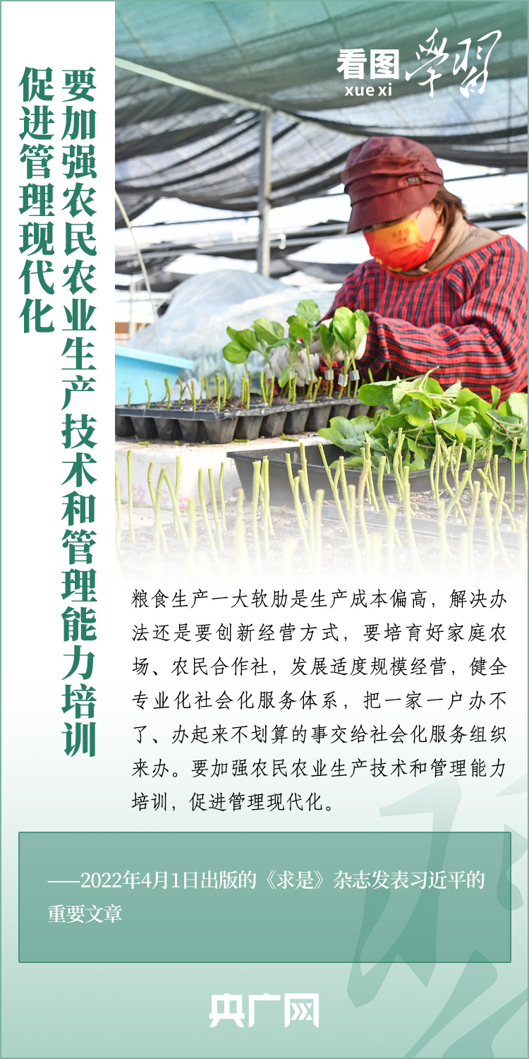 看圖學(xué)習(xí)丨推廣良田、良種、良法、良機(jī) 給農(nóng)業(yè)現(xiàn)代化插上科技的翅膀