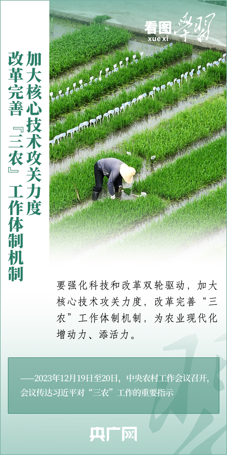 看圖學(xué)習(xí)丨推廣良田、良種、良法、良機(jī) 給農(nóng)業(yè)現(xiàn)代化插上科技的翅膀
