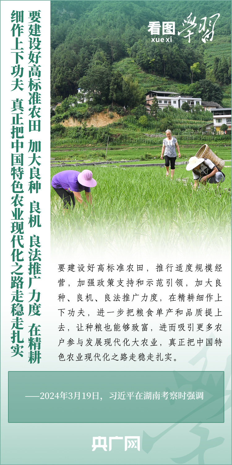 看圖學(xué)習(xí)丨推廣良田、良種、良法、良機(jī) 給農(nóng)業(yè)現(xiàn)代化插上科技的翅膀