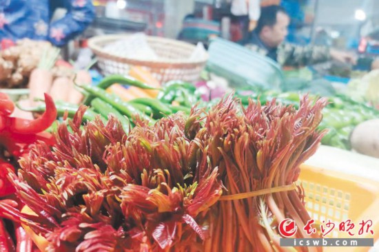 　　農(nóng)貿(mào)市場(chǎng)里鮮嫩的香椿?！　【鶠殚L(zhǎng)沙晚報(bào)全媒體記者 劉捷萍 攝