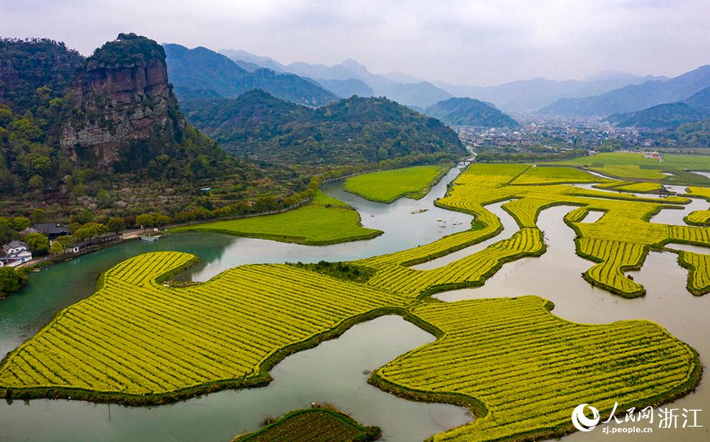 3月28日，航拍浙江省臨海市桃渚鎮(zhèn)桃江十三渚盛開的油菜花景色。人民網(wǎng) 章勇濤攝