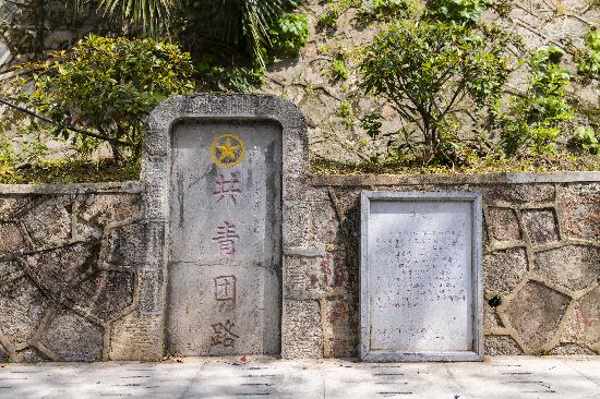 共青團路石碑。   南報融媒體記者  丁劼攝