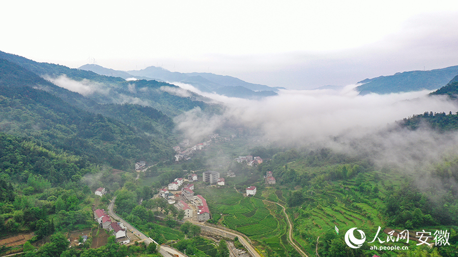 雨后的金寨大灣村，云霧環(huán)繞，宛如一幅田園山水畫卷。人民網(wǎng) 張俊攝