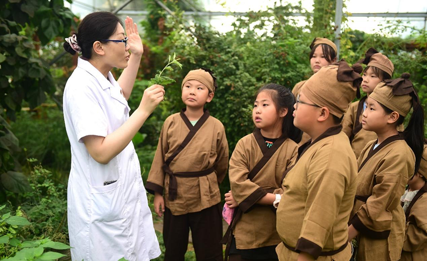參加活動的孩子聆聽滄州市人民醫(yī)院國醫(yī)館中醫(yī)對中藥材的講解。 傅新春攝