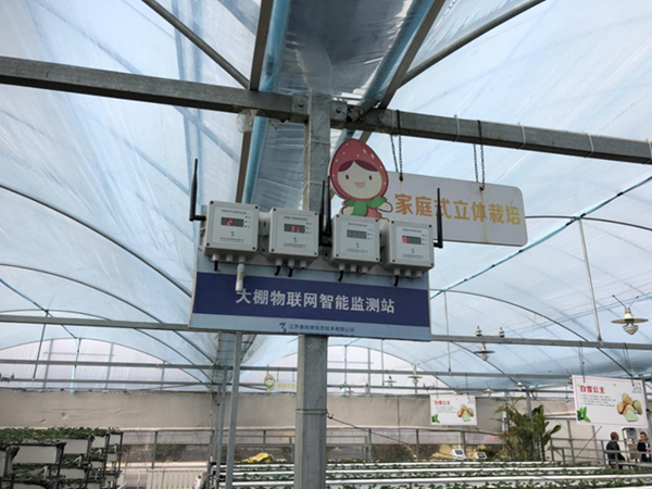 都市四季果園內(nèi)的物聯(lián)網(wǎng)智能監(jiān)測(cè)站系統(tǒng)。東海縣委宣傳部供圖