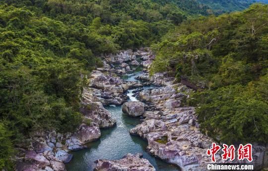 2018年海南生態(tài)環(huán)境狀況等級為“優(yōu)”，植被覆蓋率高，生物多樣性豐富，生態(tài)系統(tǒng)穩(wěn)定，圖為海南中部熱帶雨林?！●樤骑w　攝