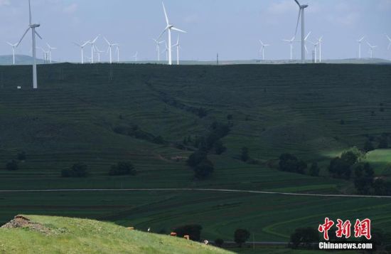 6月28日，河北張家口張北草原上大片風(fēng)力發(fā)電的“風(fēng)車”規(guī)模宏大。 中新社記者 楊艷敏 攝