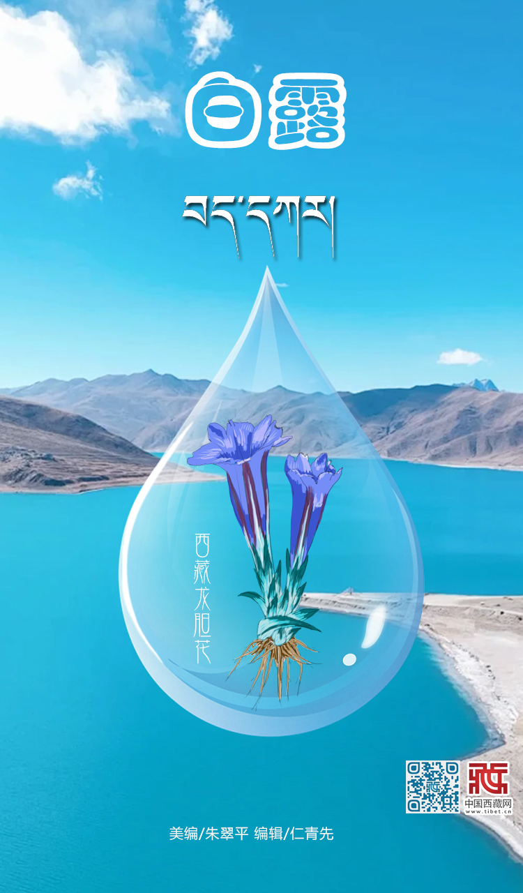 白露.jpg