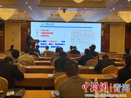 圖為論壇現(xiàn)場。李江寧攝