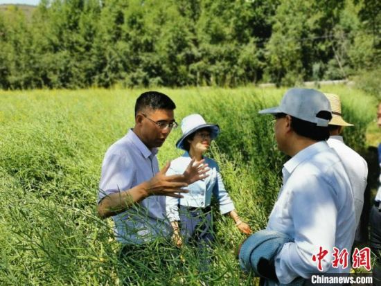 圖為九三學社青海省委主委杜德志(左一)在基層調(diào)研。受訪者供圖
