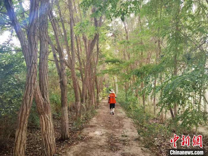 戈壁灘上的護林員：以前風吹睜不開眼，現在滿眼皆綠色