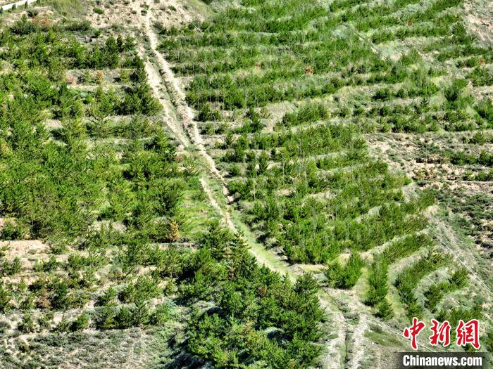 航拍建行青海省分行綠化區(qū)?！∑钤鲚?攝