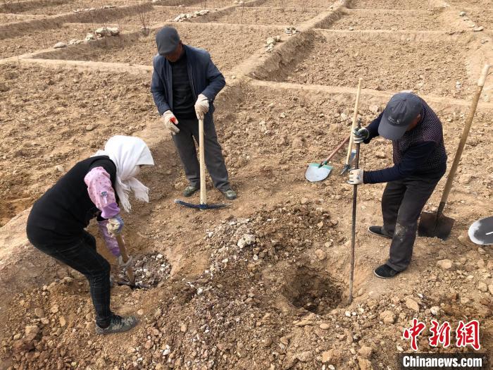 資料圖為建行青海省分行綠化區(qū)施工隊(duì)隊(duì)員處理亂石?！〗ㄐ星嗪Ｊ》中泄﹫D