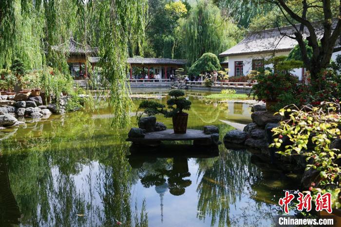 圖為西寧園林植物園秋日風景別有韻味?！●R銘言 攝