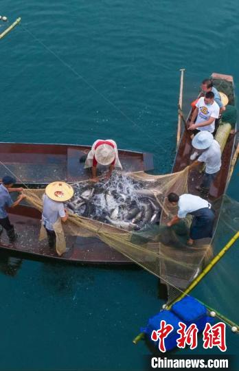 捕魚現(xiàn)場?！≈鬓k方供圖